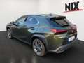 Lexus UX 250h 2.0 Hybrid Executive Line Verde - thumbnail 5