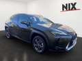 Lexus UX 250h 2.0 Hybrid Executive Line Verde - thumbnail 2