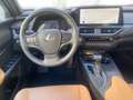 Lexus UX 250h 2.0 Hybrid Executive Line Verde - thumbnail 11