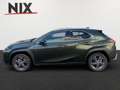 Lexus UX 250h 2.0 Hybrid Executive Line Verde - thumbnail 6