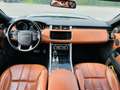 Land Rover Range Rover Sport 3.0 TDV6 HSE Dynamic Grau - thumbnail 12