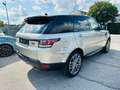 Land Rover Range Rover Sport 3.0 TDV6 HSE Dynamic Grau - thumbnail 5