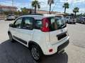 Fiat Panda Panda 1.3 mjt 16v 4x4 75cv E5+ Bianco - thumbnail 10