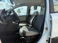 Fiat Panda Panda 1.3 mjt 16v 4x4 75cv E5+ Bianco - thumbnail 4