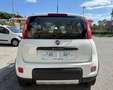 Fiat Panda Panda 1.3 mjt 16v 4x4 75cv E5+ Bianco - thumbnail 9