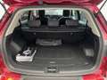 SsangYong Korando G15 GLP Urban 4x2 L.P. Mauve - thumbnail 27