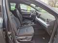 SEAT Ibiza 1.0 TSI FR *Navi*17 Zoll Alu* Gris - thumbnail 12
