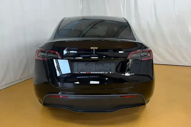 Tesla Model Y view 12
