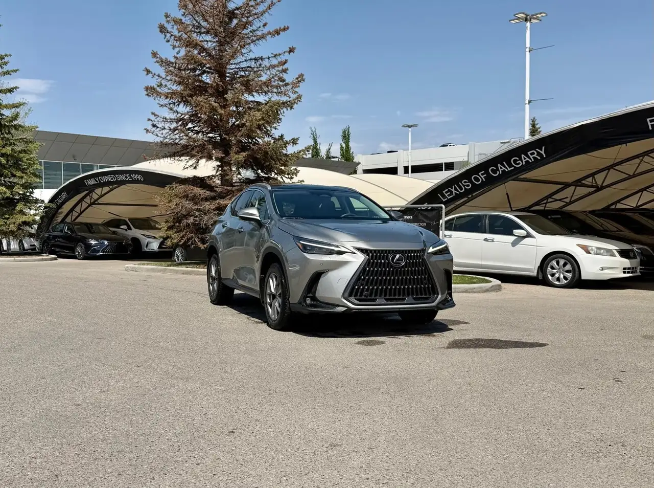 2022 Lexus NX