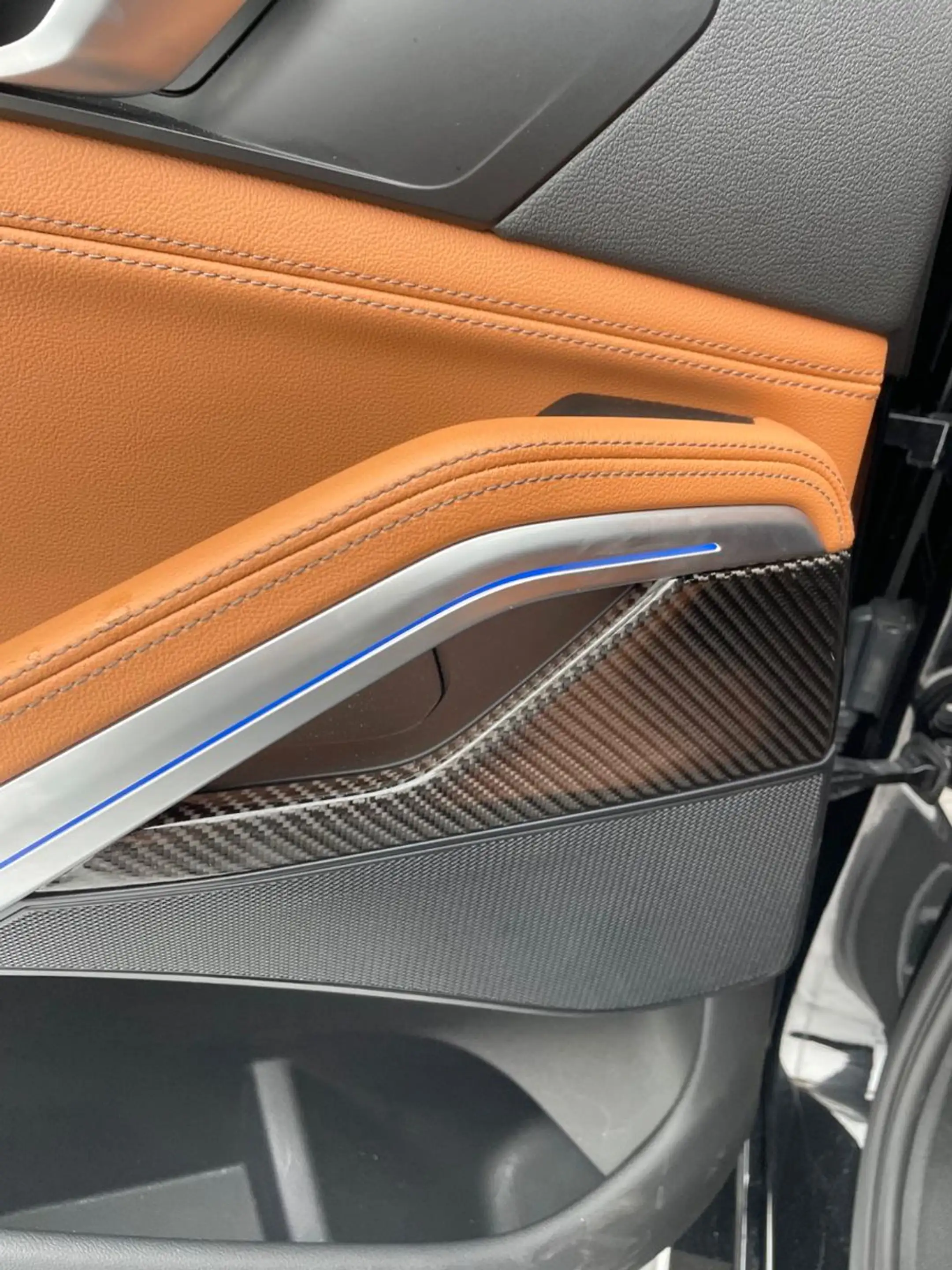BMW X6 xDrive 30 d M Sport Carbon 21" ACC Leder TOP! — photo 11