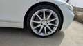 BMW Z4 Z4 sDrive23i Blanco - thumbnail 24