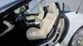 BMW Z4 Z4 sDrive23i Blanco - thumbnail 13