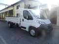 Opel Movano 140CV CASSONE RIBALTABILE PRONTA CONSEGNA Bianco - thumbnail 3