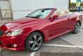 Lexus IS 250 IS 250 C President Aut. President Rojo - thumbnail 3