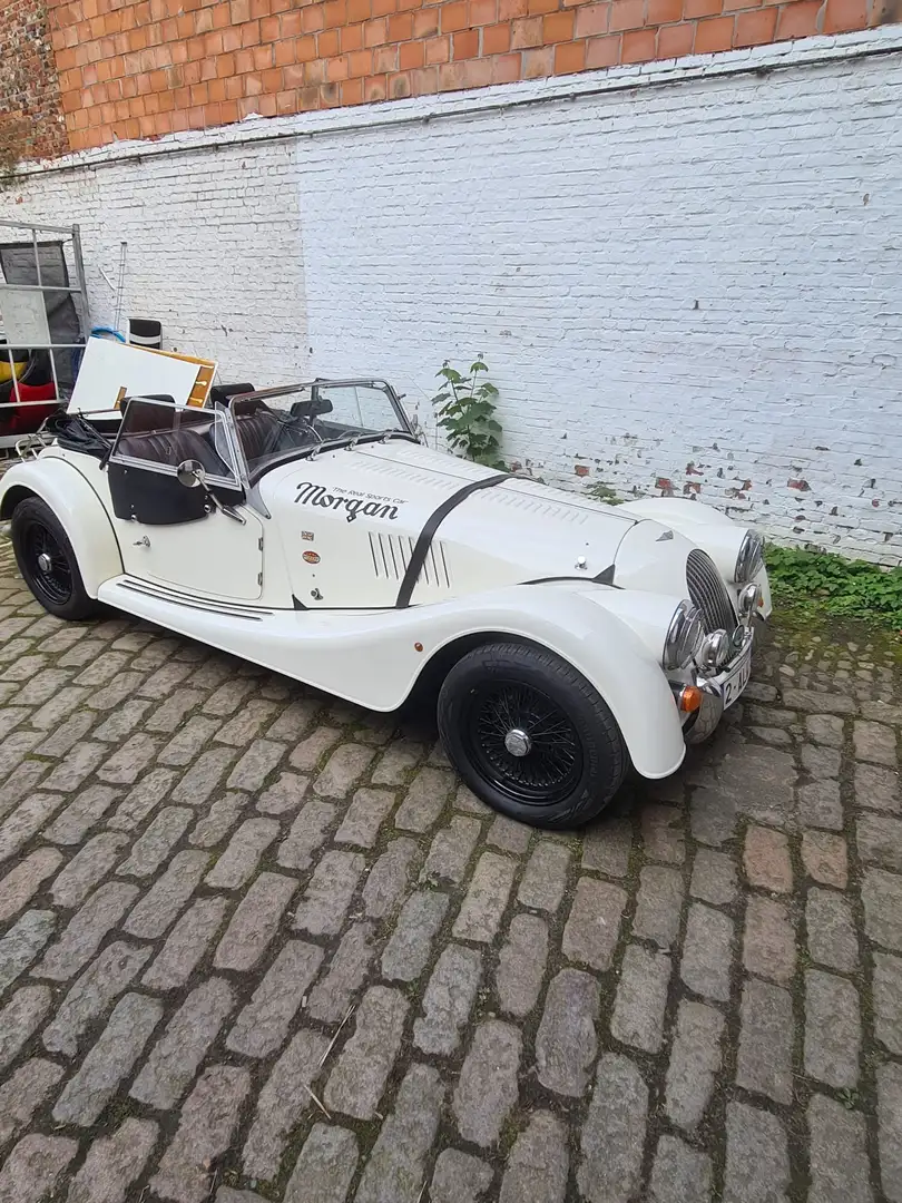 Morgan Plus 4 Plus 4 2.0l Blanco - 1