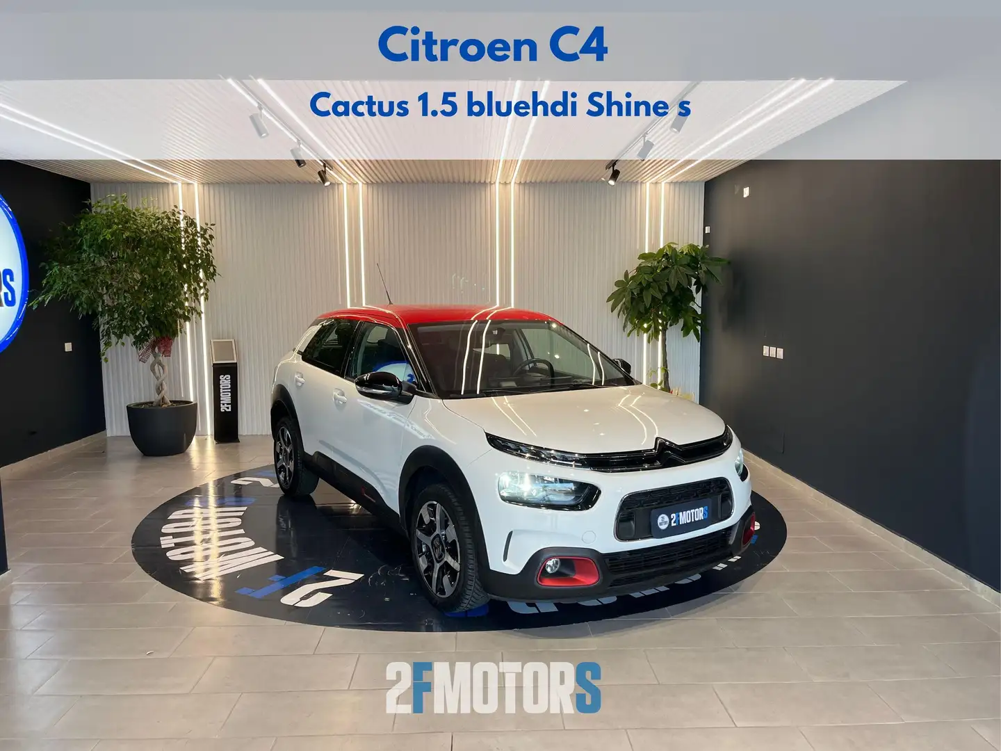 Citroen C4 Cactus 1.5 bluehdi Shine s Bianco - 1