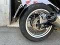 Benelli Leoncino 500 Trail - thumbnail 3