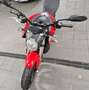 Zero Zero SR ZF 13 Rosso - thumbnail 6