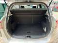 Ford B-Max 1.6 105 CV Powershift Titanium Argento - thumbnail 13