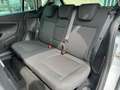 Ford B-Max 1.6 105 CV Powershift Titanium Argento - thumbnail 12