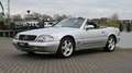 Mercedes-Benz SL 500 Cabrio Grau - thumbnail 30