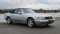 Mercedes-Benz SL 500 Cabrio Grau - thumbnail 40