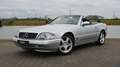 Mercedes-Benz SL 500 Cabrio Grau - thumbnail 1