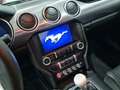 Ford Mustang Fastback 5.0 V8 459CV GT *Bullit*68 Esemplari* Groen - thumbnail 8
