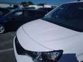 Peugeot Rifter 1.5BlueHDi S&S Standard Active Pack 100 Blanco - thumbnail 11