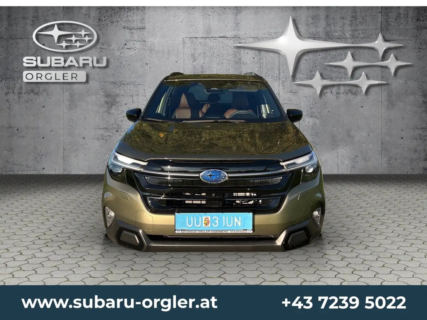 Subaru Forester Forester 2,0i e-Boxer Premium-INKL. WINTERRÄDER Grün - 2