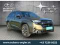 Subaru Forester Forester 2,0i e-Boxer Premium-INKL. WINTERRÄDER Vert - thumbnail 3