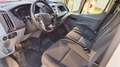 Ford Transit Transit Pritsche 2,0 TDCi 4x4 L2 350 Ambiente Ambiente Weiß - thumbnail 1