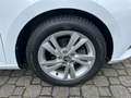 Skoda Fabia Combi Style LED ACC SHZ RFK KLIMA ALU Blanc - thumbnail 4