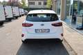 Kia Ceed / cee'd 1.6 CRDi 115 CV DCT 5p. Business Class Bianco - thumbnail 6