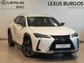 Lexus UX 250h Premium 4WD Blanco - thumbnail 1
