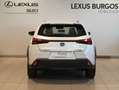 Lexus UX 250h Premium 4WD Blanco - thumbnail 12