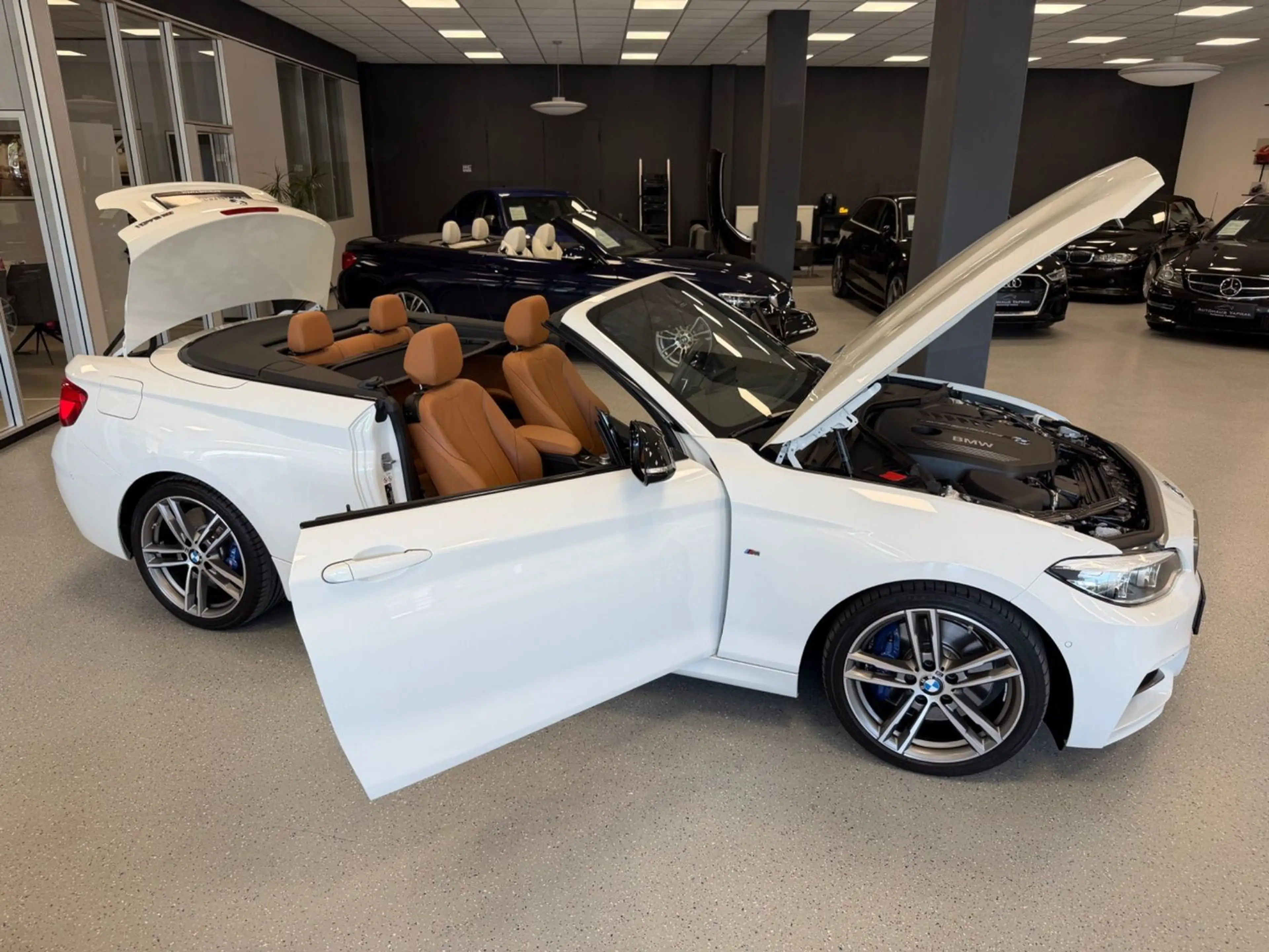 BMW 240 Cabrio|H/K|DrivingAs.|BMW Service|Garantie — photo 3