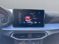 SEAT Ibiza 1.0 TSI FR Black Edition*PANO+NAVI* 199€mtl Silber - thumbnail 19