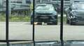 BMW 435 4er-Reihe Cabrio (F33) Cabrio Aut. Grau - thumbnail 30