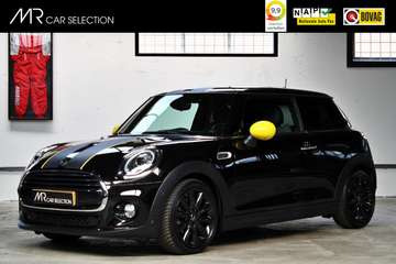 Mini 1.5 Chili | Serious Business | Automaat | 17