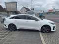 Kia ProCeed / pro_cee'd ProCeed GT NAVI KAMERA ALCANTARA SCHECKHEFT Weiß - thumbnail 5