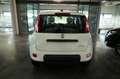 Fiat Panda 1,0 GSE Mild Hybrid Klimaanlage 5-Sitzer Weiß - thumbnail 9