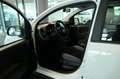 Fiat Panda 1,0 GSE Mild Hybrid Klimaanlage 5-Sitzer Weiß - thumbnail 2