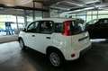 Fiat Panda 1,0 GSE Mild Hybrid Klimaanlage 5-Sitzer Weiß - thumbnail 5