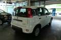 Fiat Panda 1,0 GSE Mild Hybrid Klimaanlage 5-Sitzer Weiß - thumbnail 7