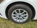 Audi A6 Avant 35 TDI S-tronic ACC,Paket Tour,Fernlichta... Alb - thumbnail 11
