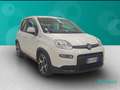 Fiat New Panda 1.0 FireFly Hybrid Sport Bianco - thumbnail 1