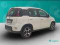 Fiat New Panda 1.0 FireFly Hybrid Sport Bianco - thumbnail 5