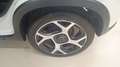 Fiat New Panda 1.0 FireFly Hybrid Sport Bianco - thumbnail 9