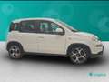 Fiat New Panda 1.0 FireFly Hybrid Sport Bianco - thumbnail 6